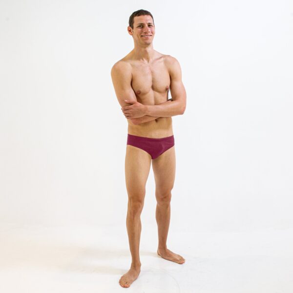 FINIS Swim Brief Cabernet