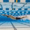 Show FINIS Fuse Race Jammer Black (image 3)