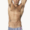 Show Speedo Men’s Stripe Brief