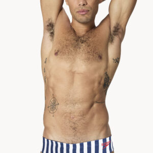 Speedo Men’s Stripe Brief