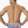 Show Speedo Men’s Stripe Brief (image 2)