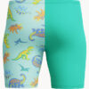 Show Speedo Boys Print Jammer (image 2)