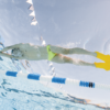 Show FINIS Evo Monofin Black (image 2)