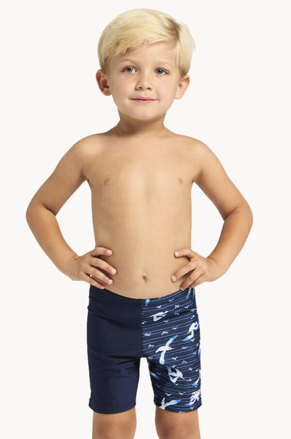 Zoggs Boys Seagull Midi Jammer