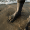 Show Zone3 Active-Flex Swim Sock (image 3)