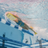 Show FINIS Foam Kickboard Sr (image 3)